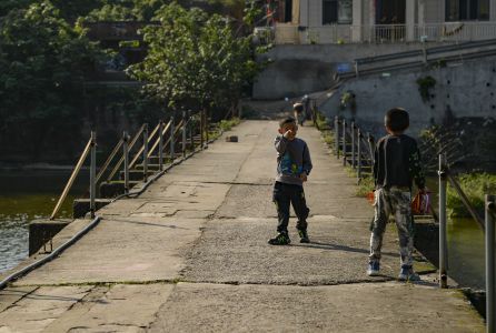 濑溪河畔小伙伴