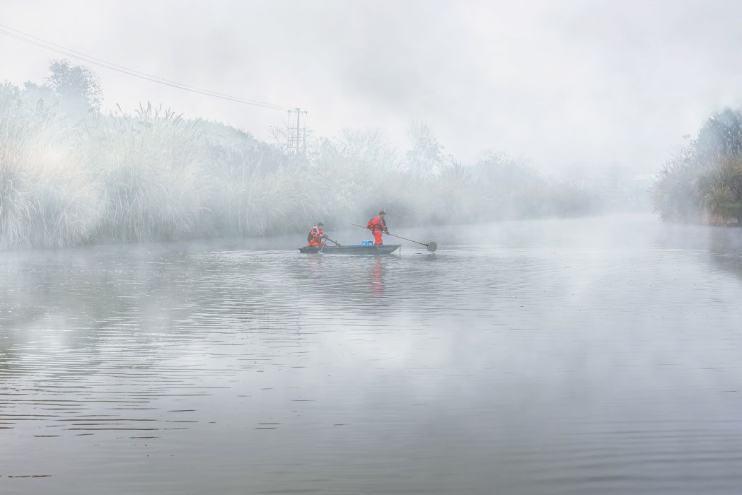 晨雾中的河道卫士