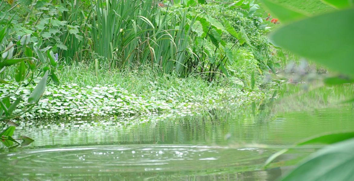 寿溪曲绕经开境，翠色轻吟生态章