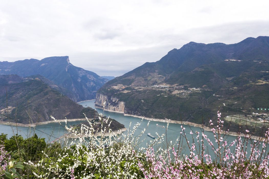 春到瞿塘峡
