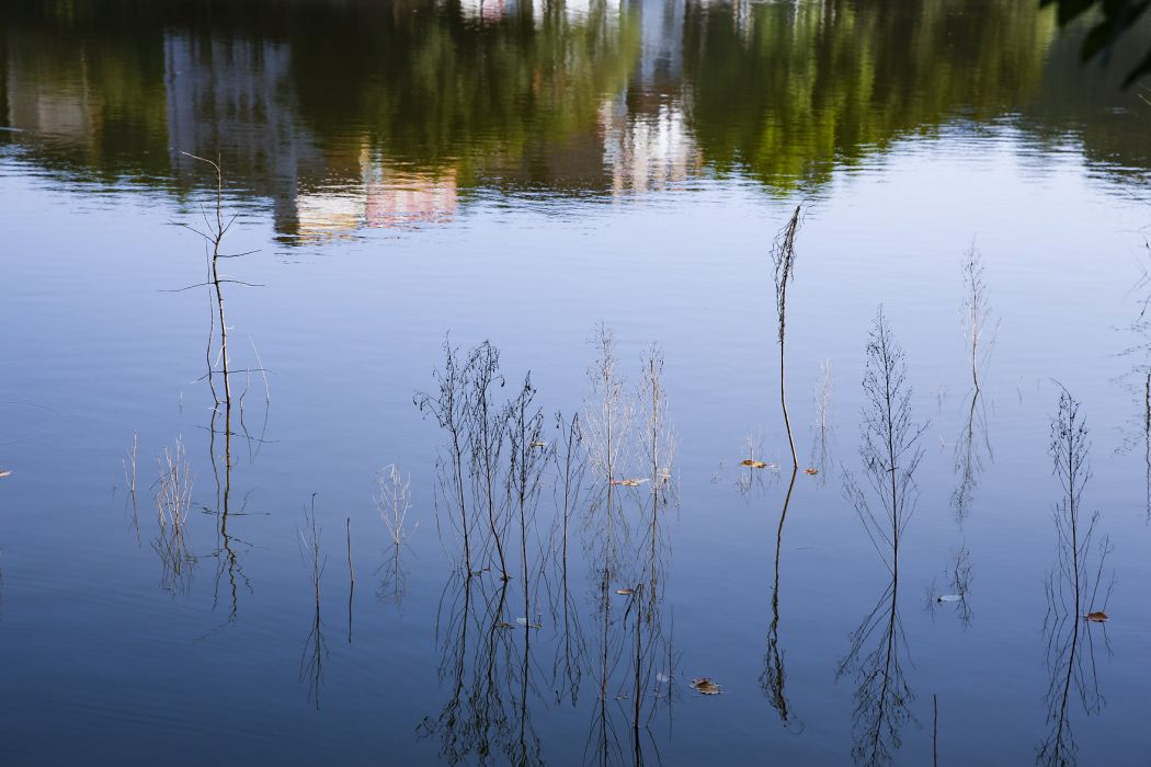 美丽南湖我的家