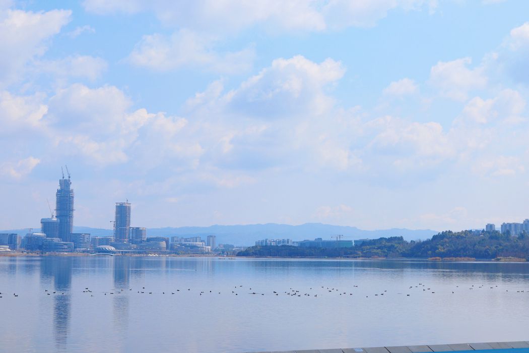 河湖绘就城市景，人水同筑幸福章