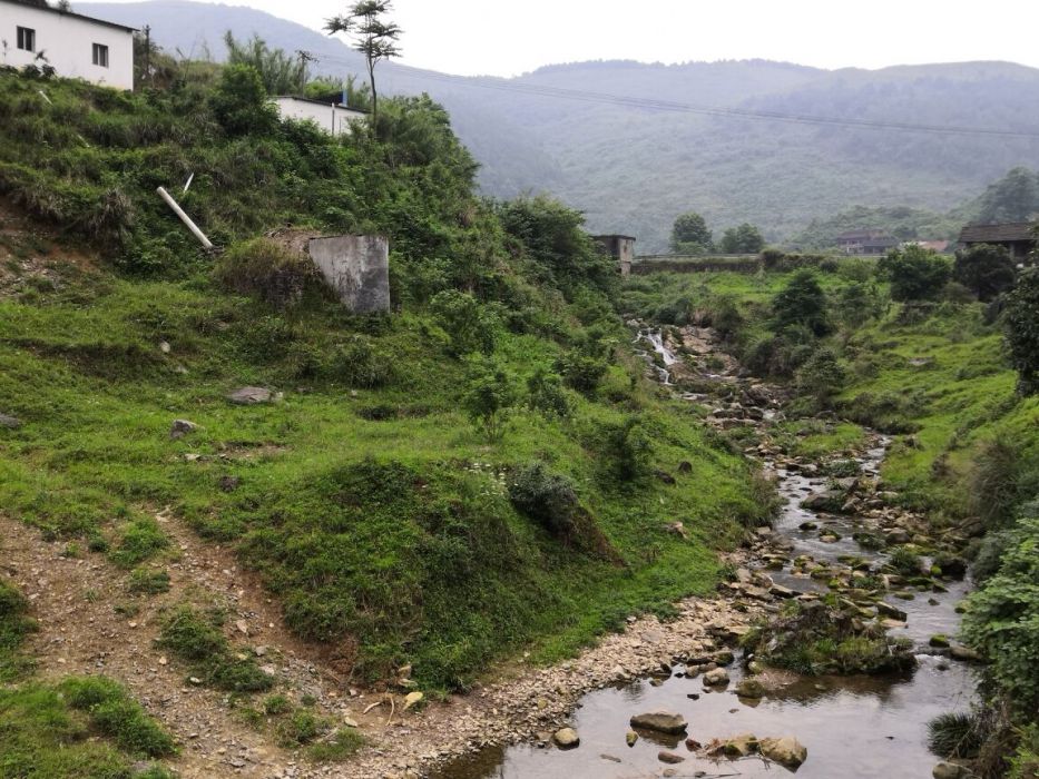 桂兴镇河长制摄影