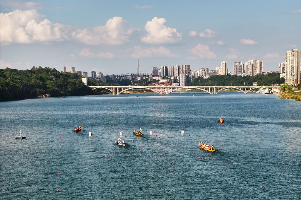 龙舟竞渡嘉陵江