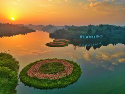 生命之泉，源于阳光