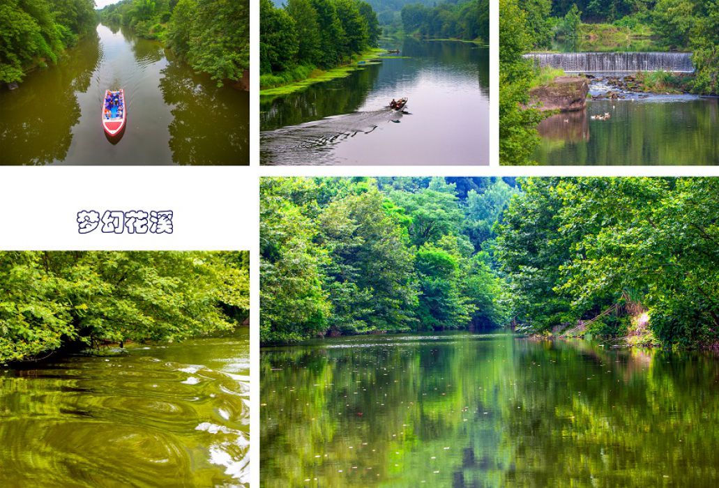 梦幻花溪