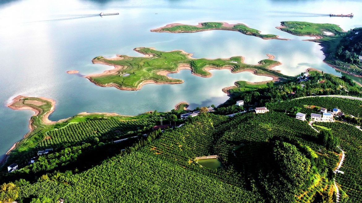 荒山变“金山” “秃斑”变绿洲