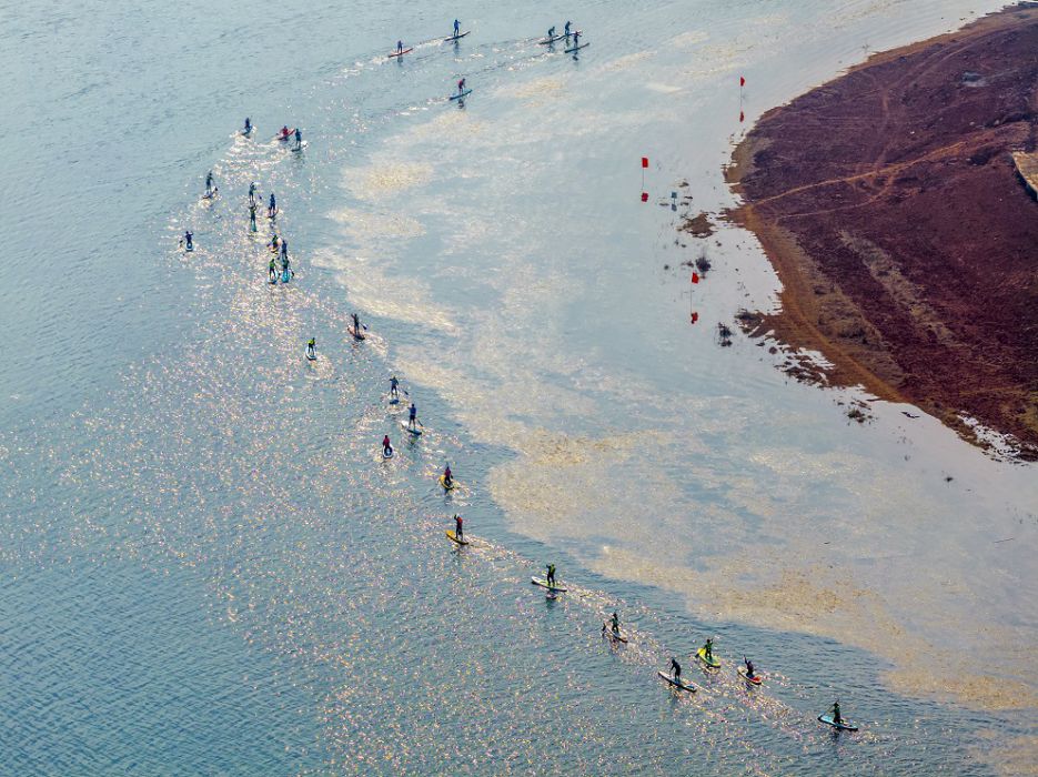美丽的竞浆曲线