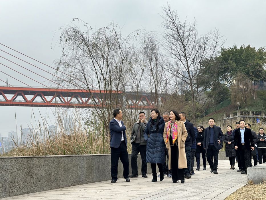 调研江滩工作，共促岸清河美