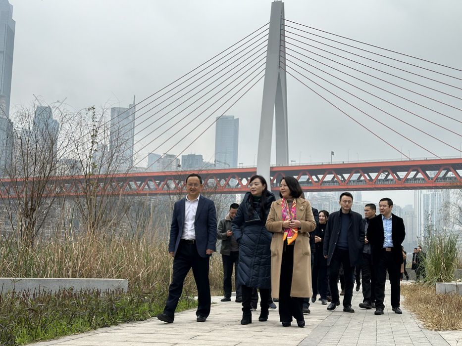 调研江滩工作，共促岸清河美