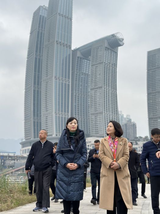 调研江滩工作，共促岸清河美