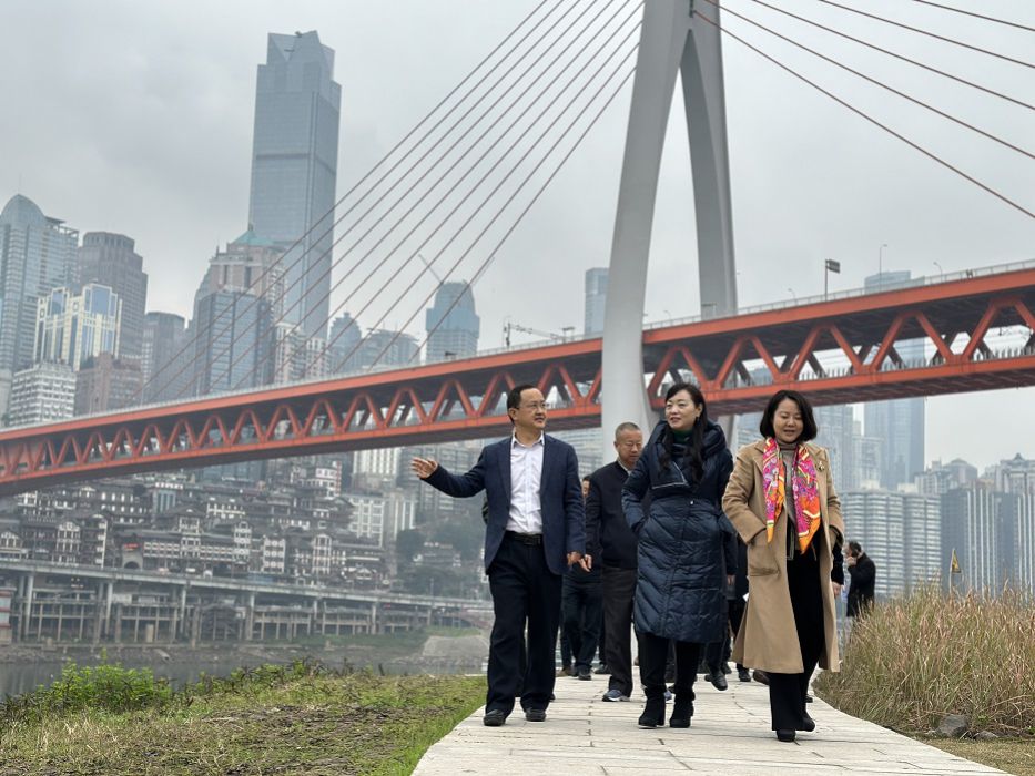 调研江滩工作，共促岸清河美