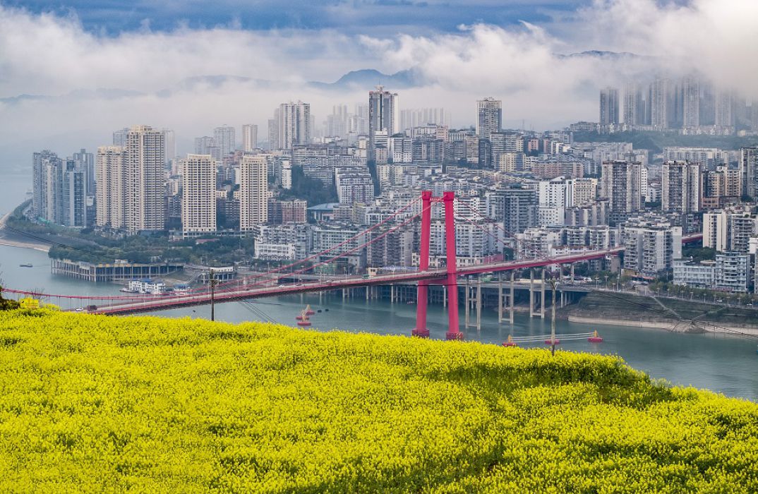 花海桥影映江城