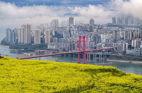 花海桥影映江城