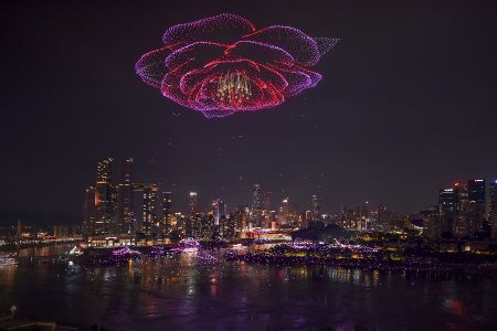 山茶花开长嘉汇