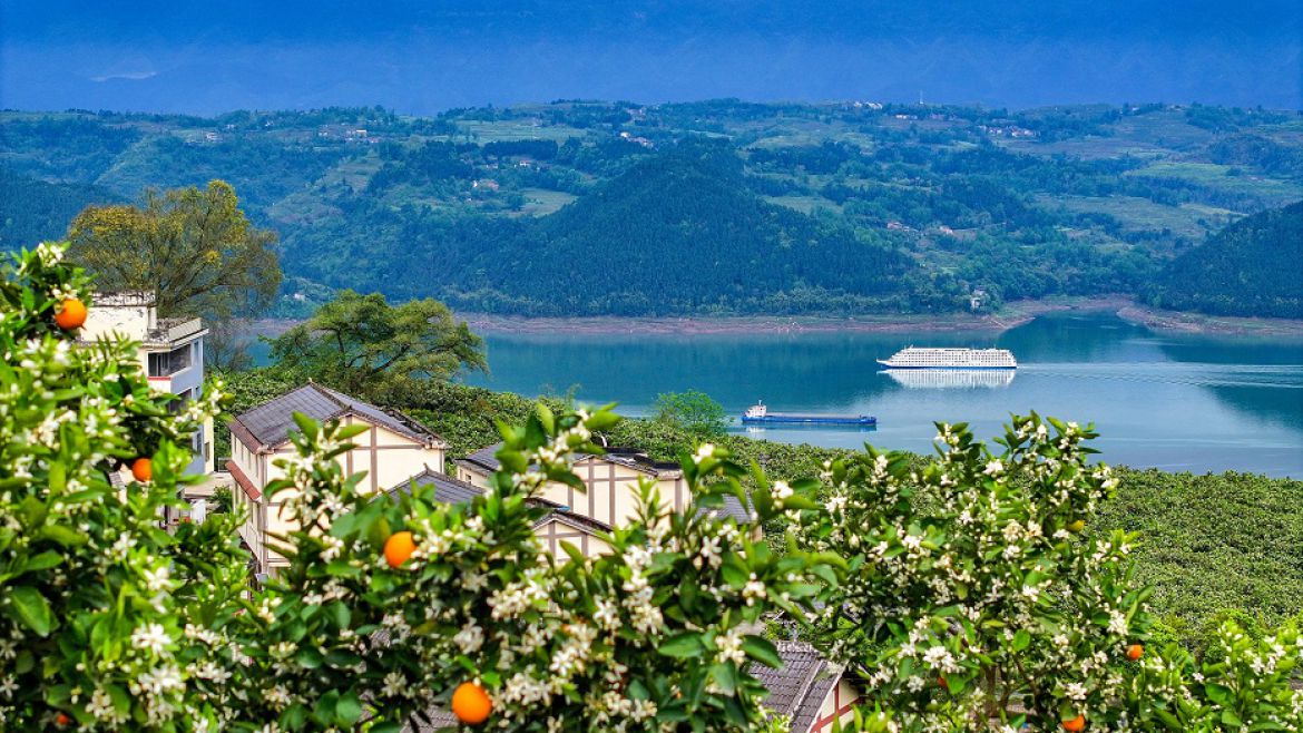 花果同枝映碧江