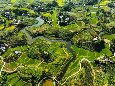 河清人和·乡村新颜