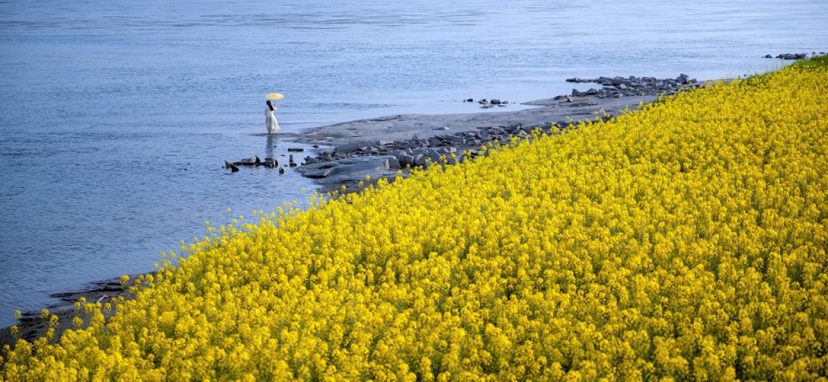 江畔花漾·风吻春颜