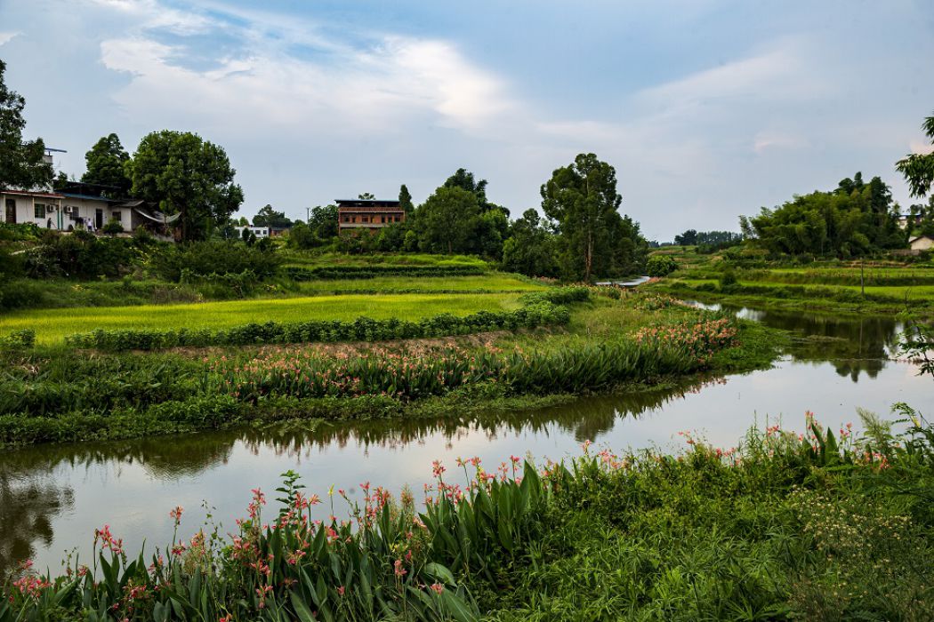 清清河边是我家