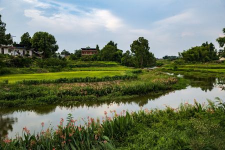 清清河边是我家