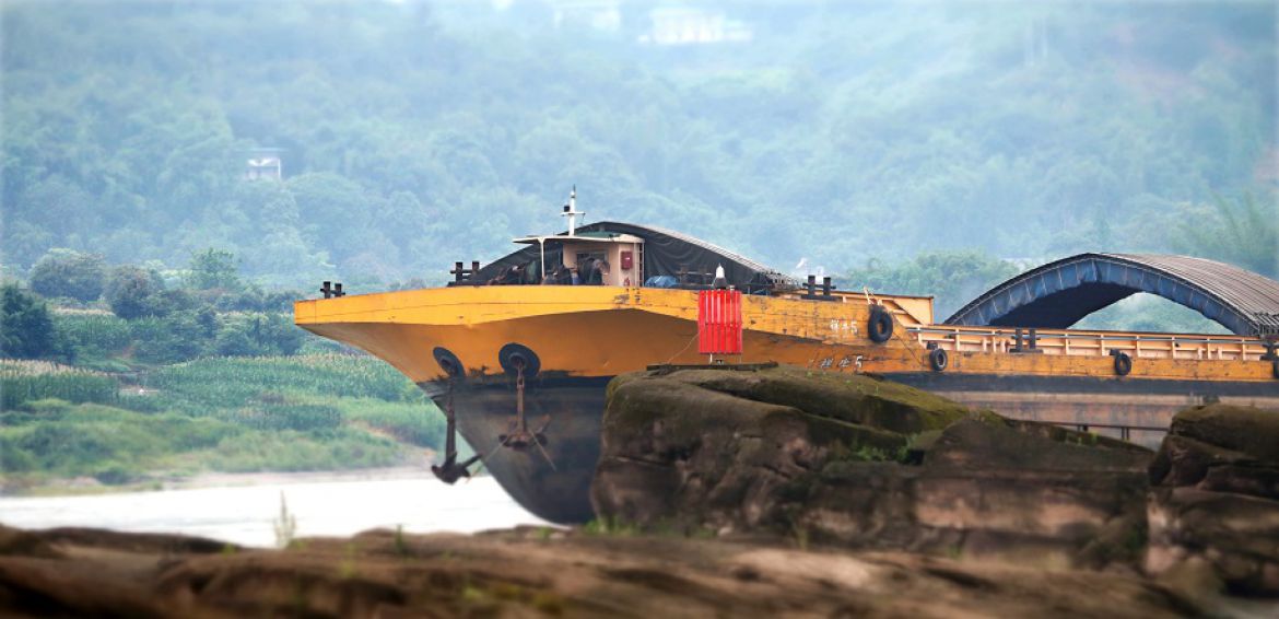 江澜同脉.羽翼共栖